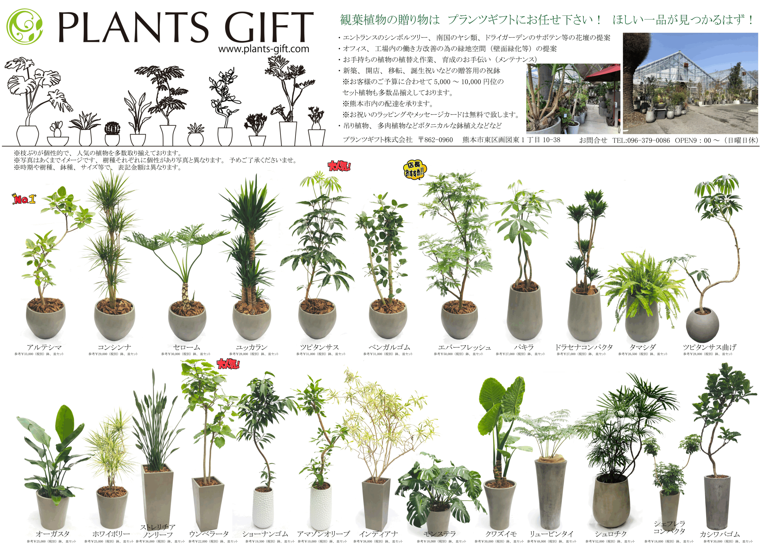 植物ギフトカタログ