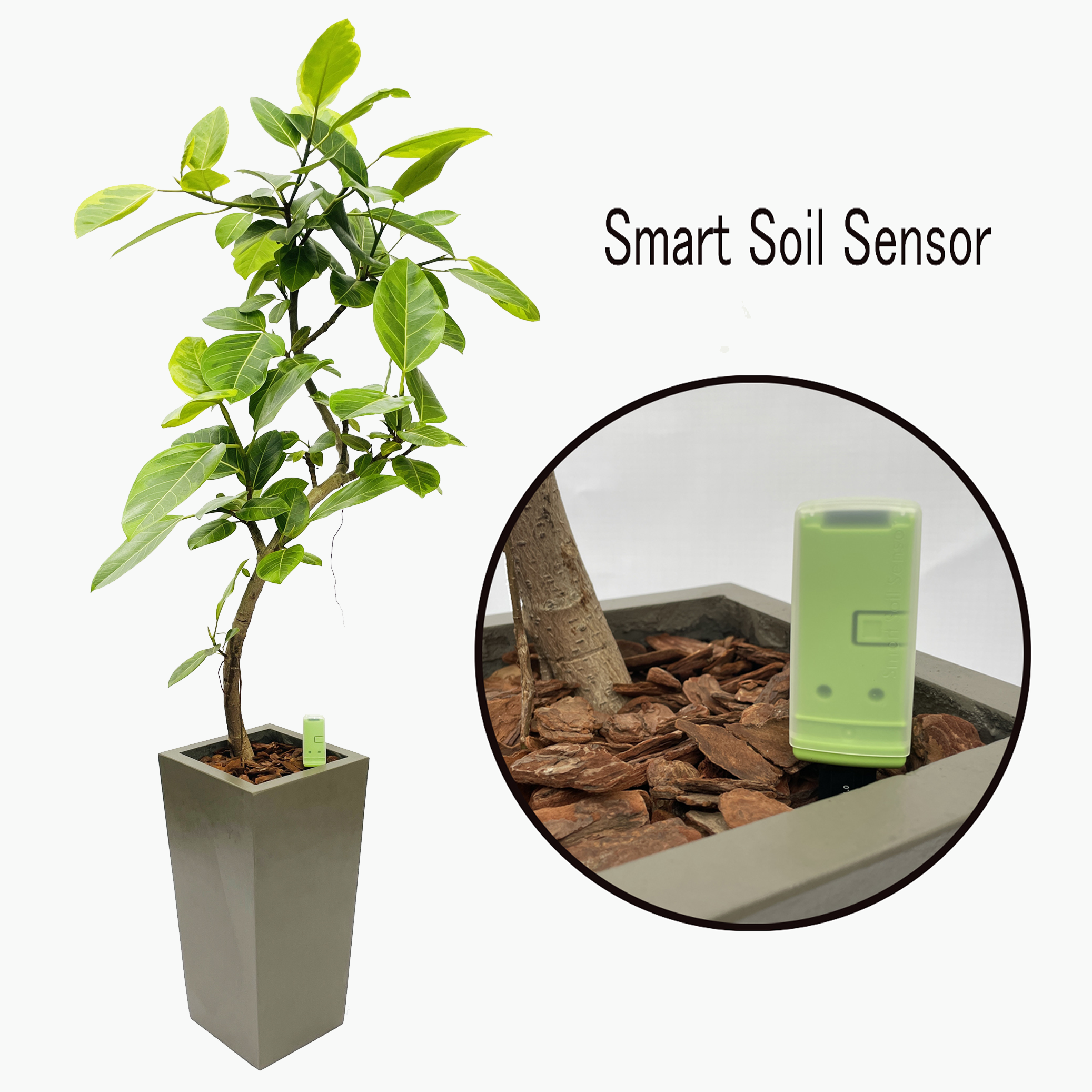 Smart Soil Sensor 製品画像